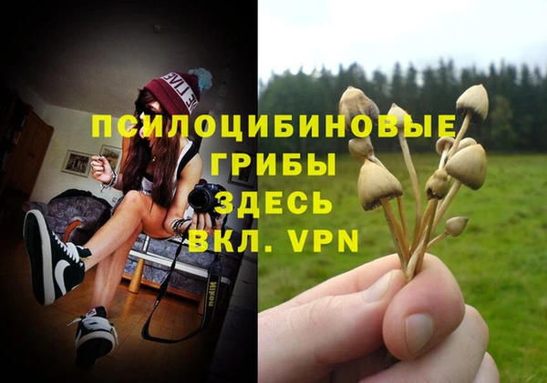 бутик Бородино
